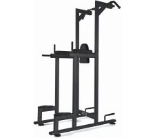 Jėgos treniruoklis TOORX CHIN/DIP/LEG RAISE WBX-2800 Professional black