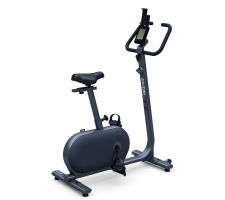 Exercise bike KETTLER HOI RIDE Stone